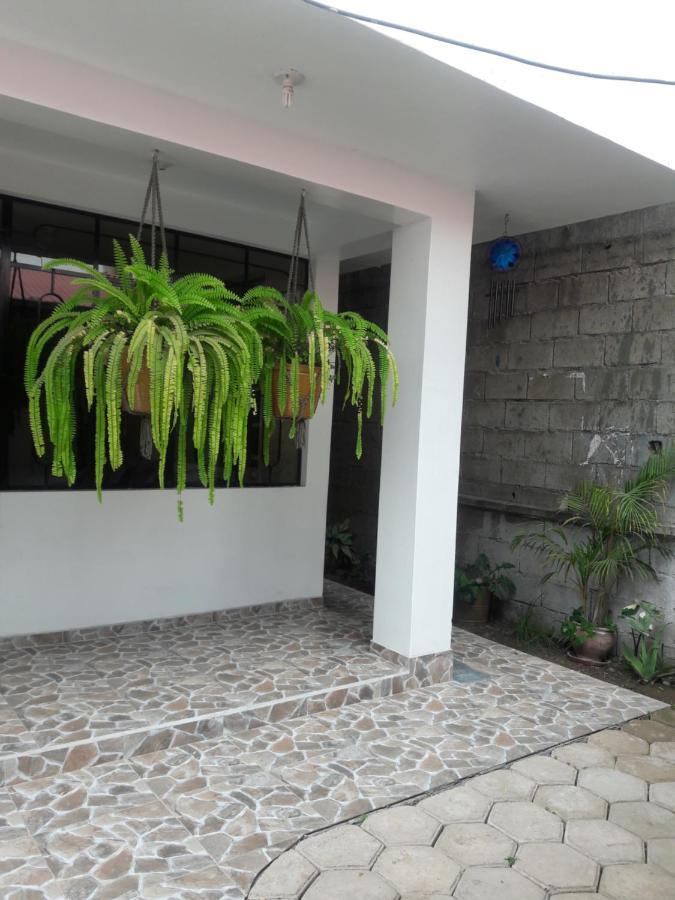 Suzet House Guest House Oxapampa Luaran gambar