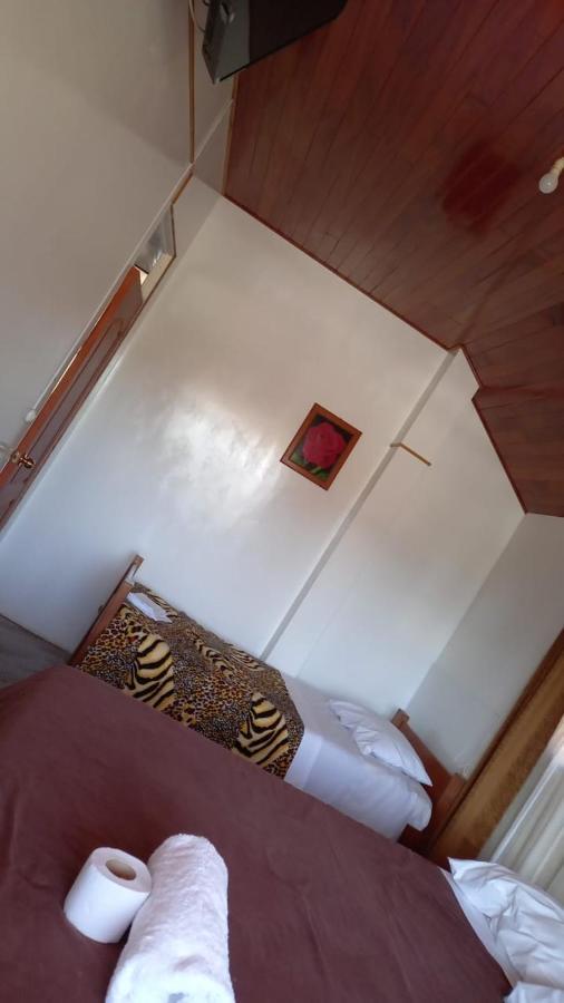 Suzet House Guest House Oxapampa Luaran gambar